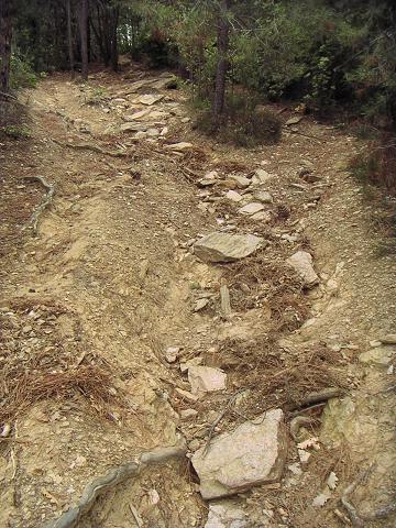 C'est ravin&eacute;, on ne passe plus l&agrave;..