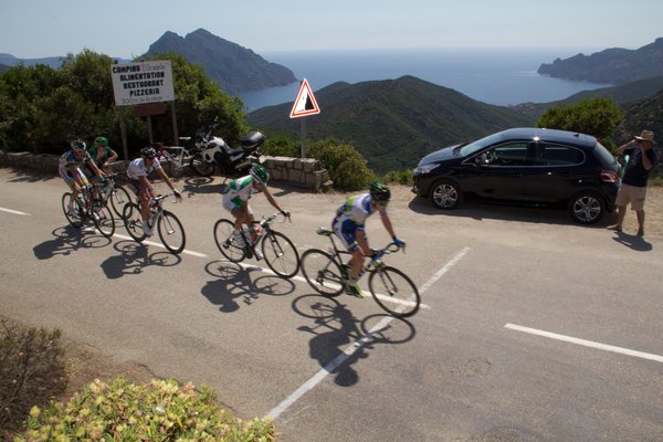 col-corse-0192_PhotoRedukto.jpg