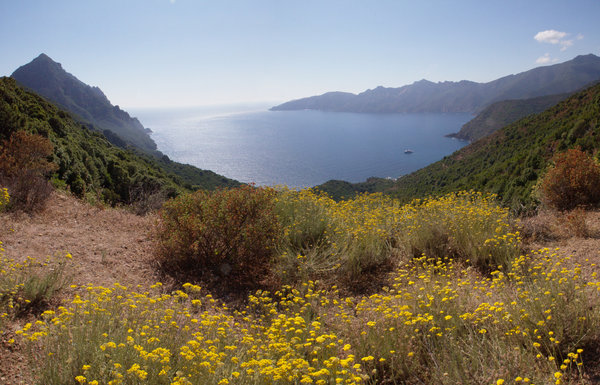 girolata-2000.jpg