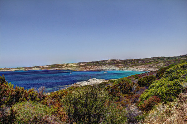 plage-calvi-1.jpg