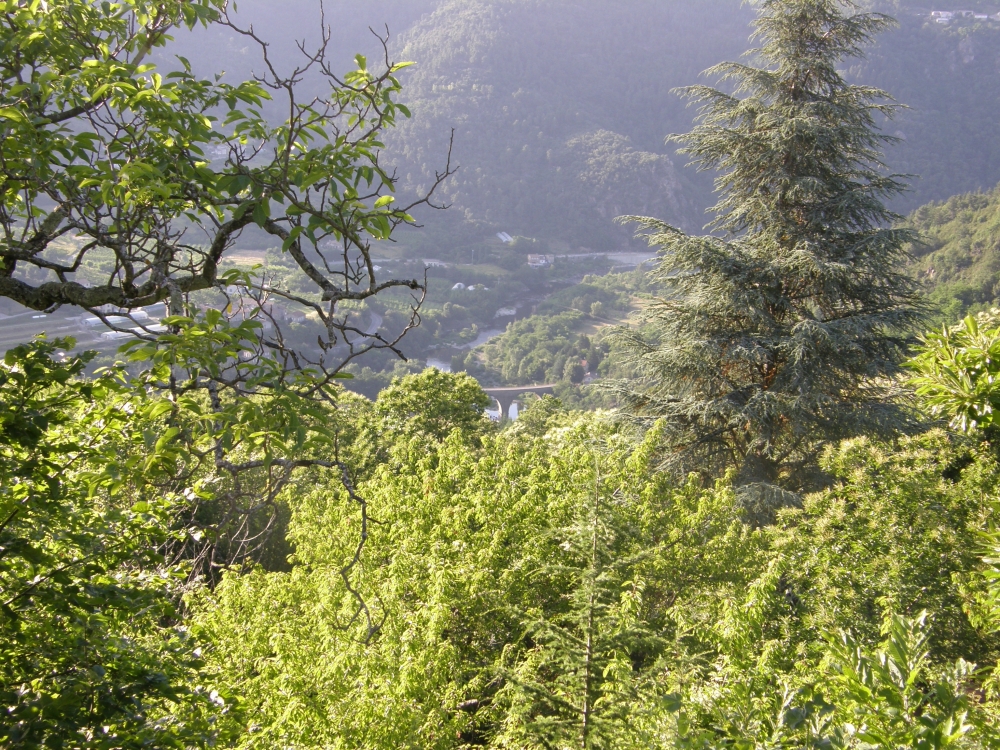 royasP6200058_PhotoRedukto.jpg