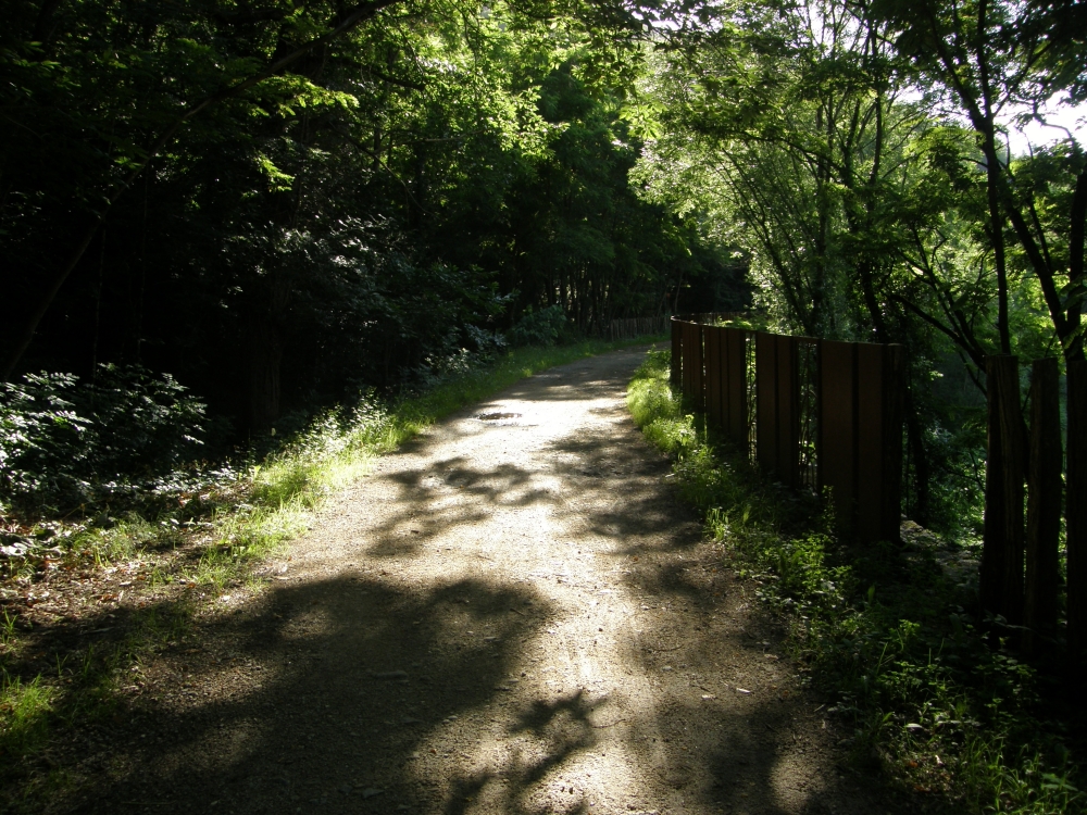 royasP6200026_PhotoRedukto.jpg