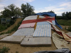 P5260039_PhotoRedukto.jpg (339.46 Kio) Vu 2 fois P5260039_PhotoRedukto.jpg